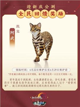 绝地求生  天龙八部私服
